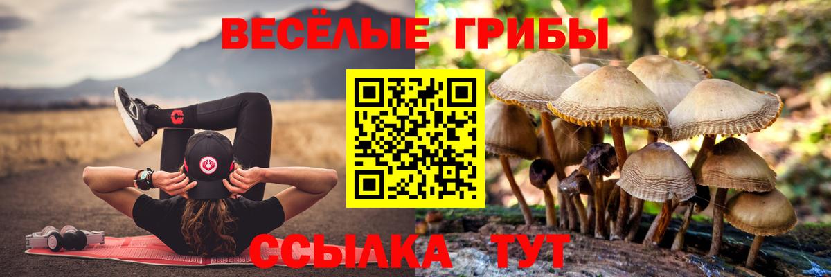 Ангарск  Галлюциногенные грибы мухоморы  Галлюциногенные грибы Cubensis  Вход с VPN 